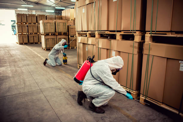 Best Best Pest Control Companies  in West Puente Valley, CA