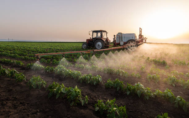 Best Pest Removal Services  in West Puente Valley, CA