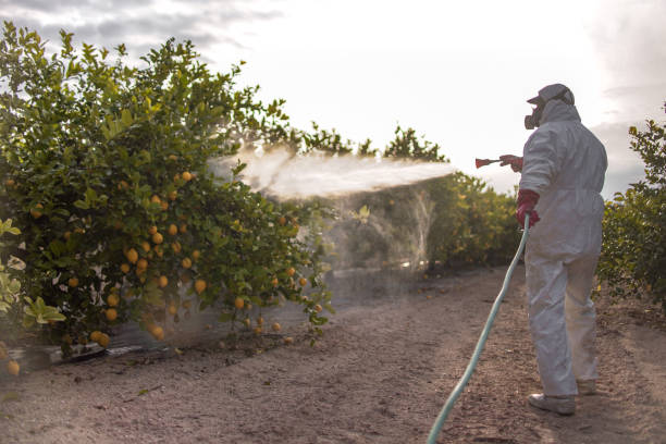 Best Pest Prevention Services  in West Puente Valley, CA