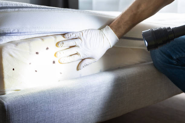  West Puente Valley, CA Pest Control Pros