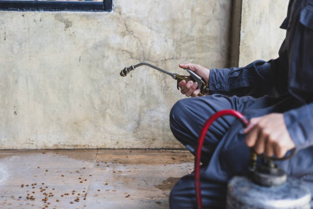 Best Emergency Pest Control  in West Puente Valley, CA