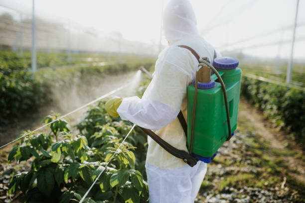 Best Pest Inspection Near Me  in West Puente Valley, CA